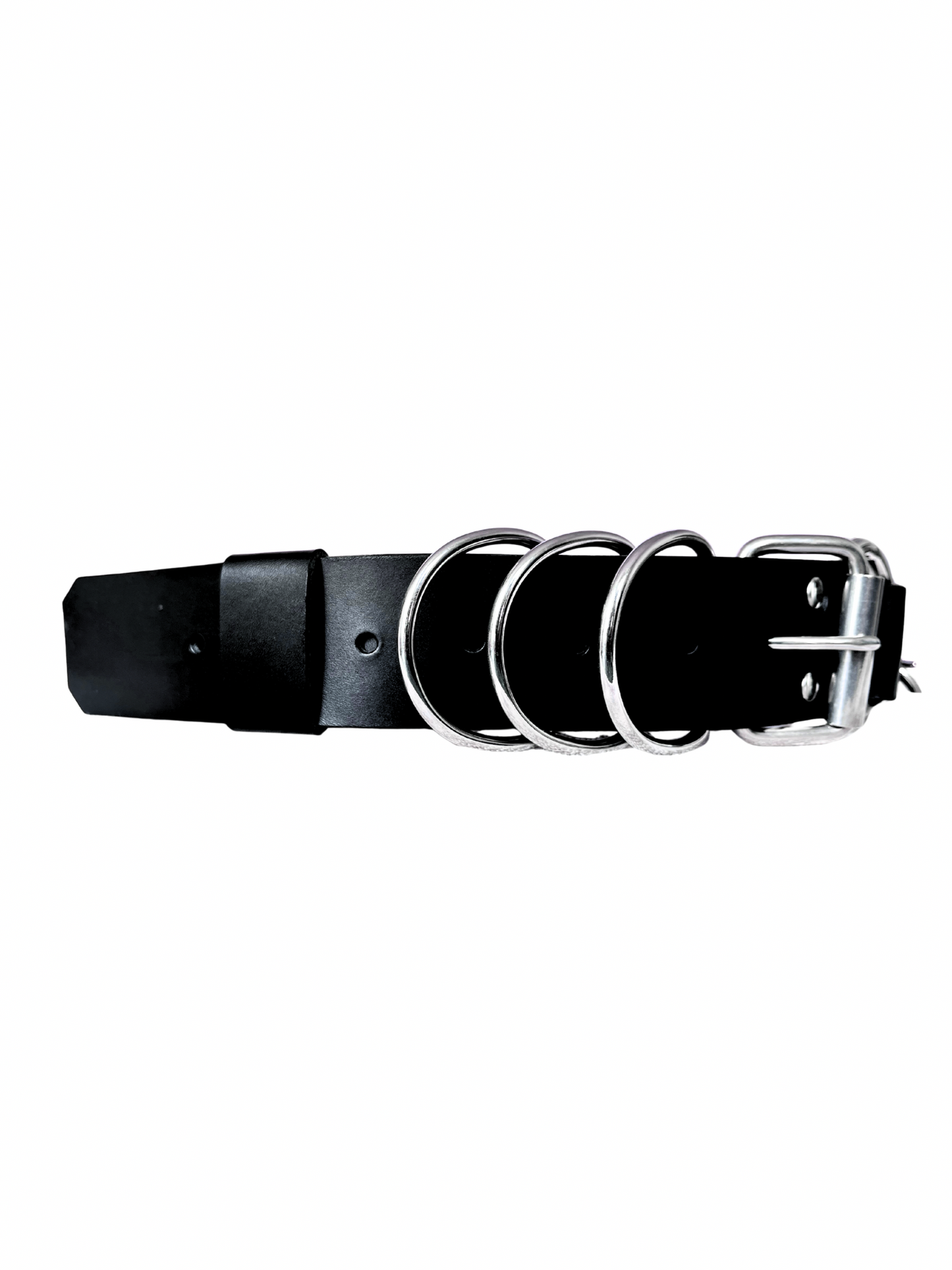 The Wired - BELT