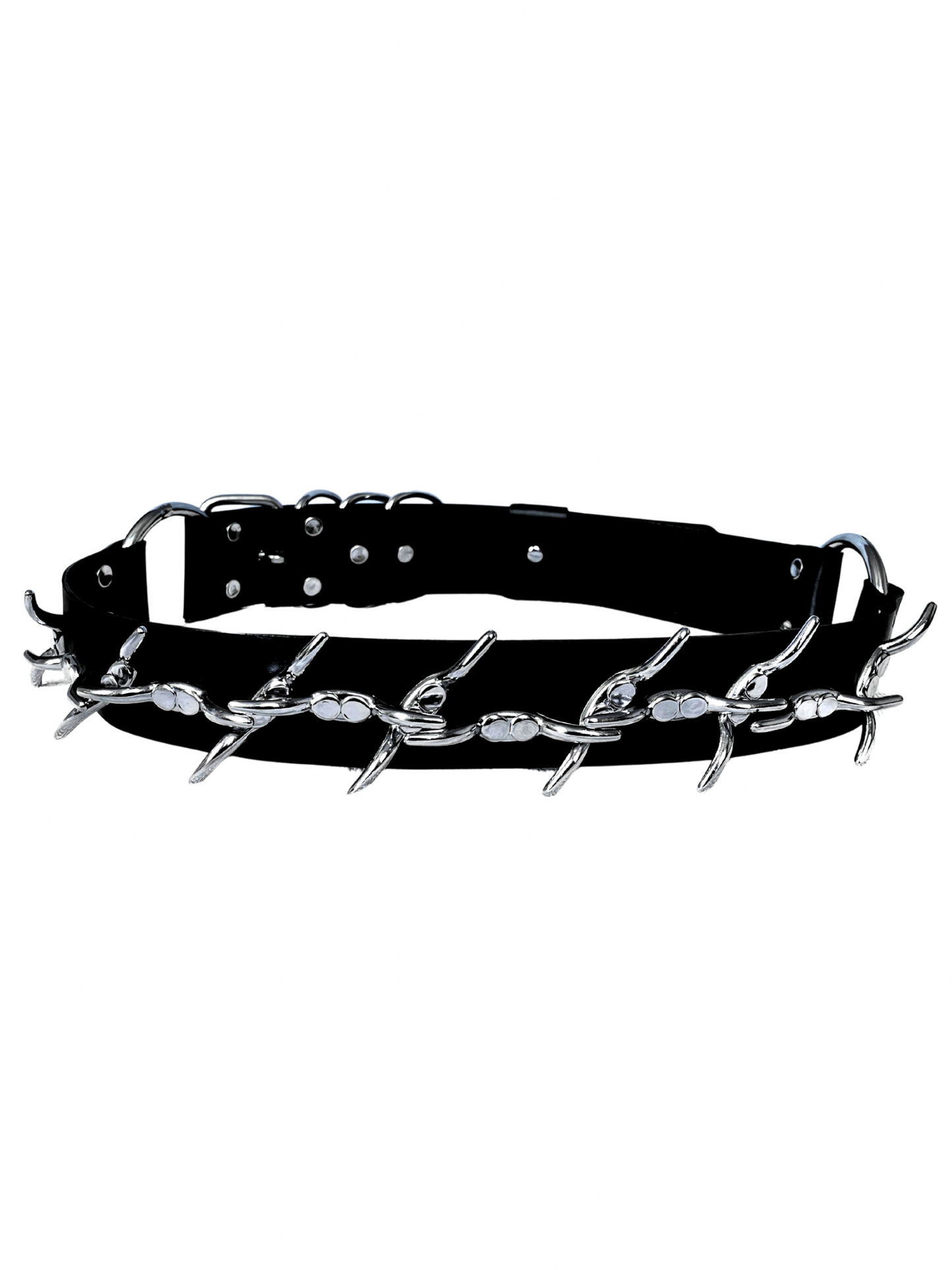 The Wired - BELT