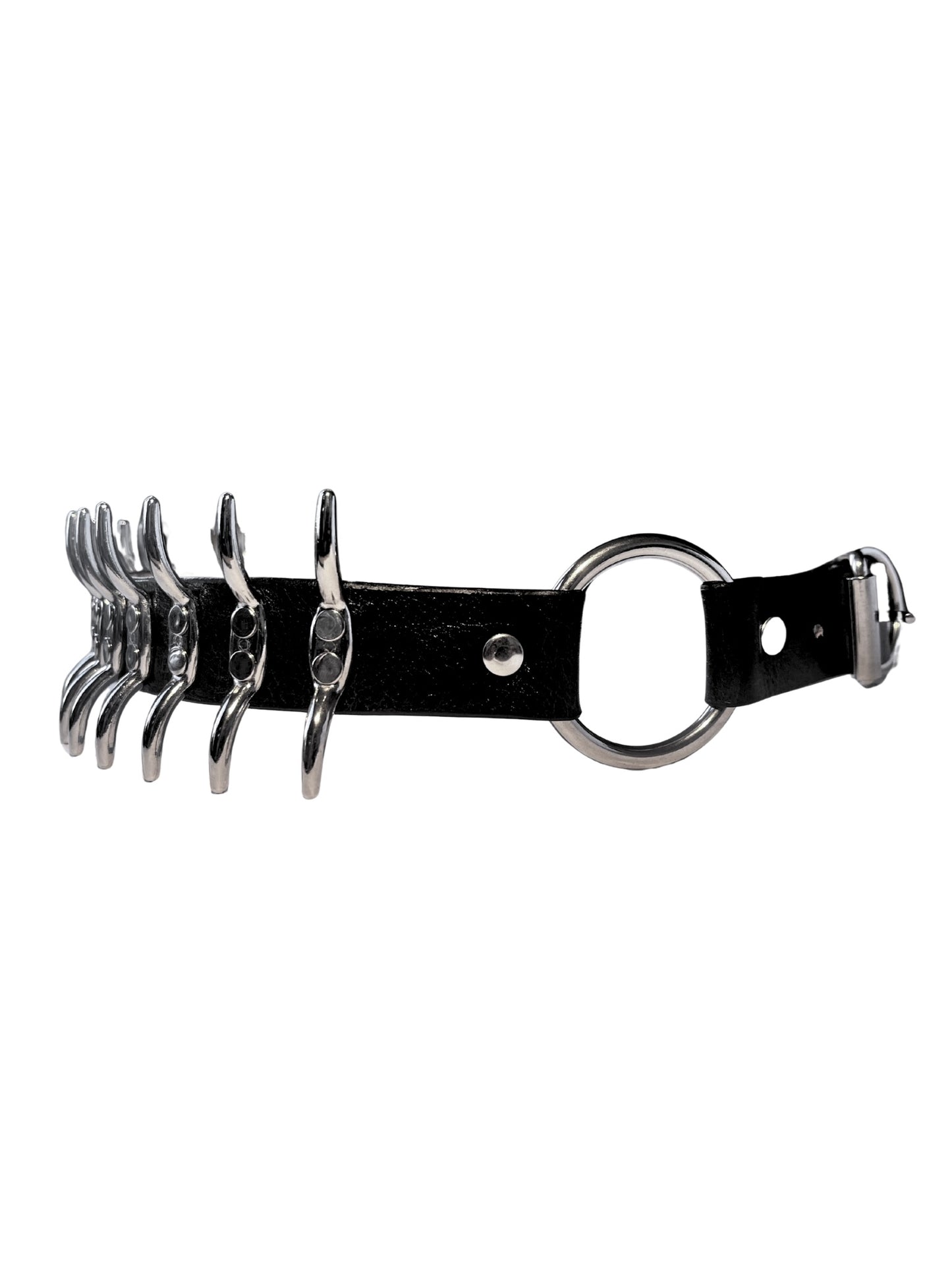 The Spine - BELT