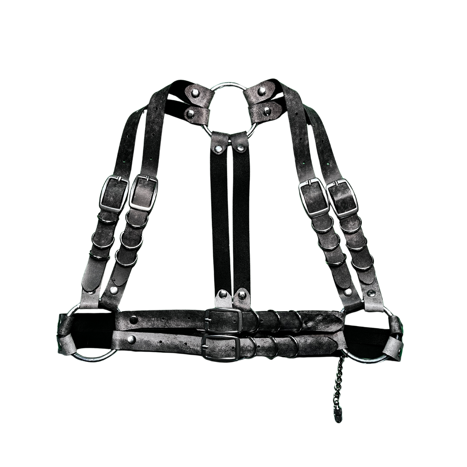 LEATHER - Harnesses