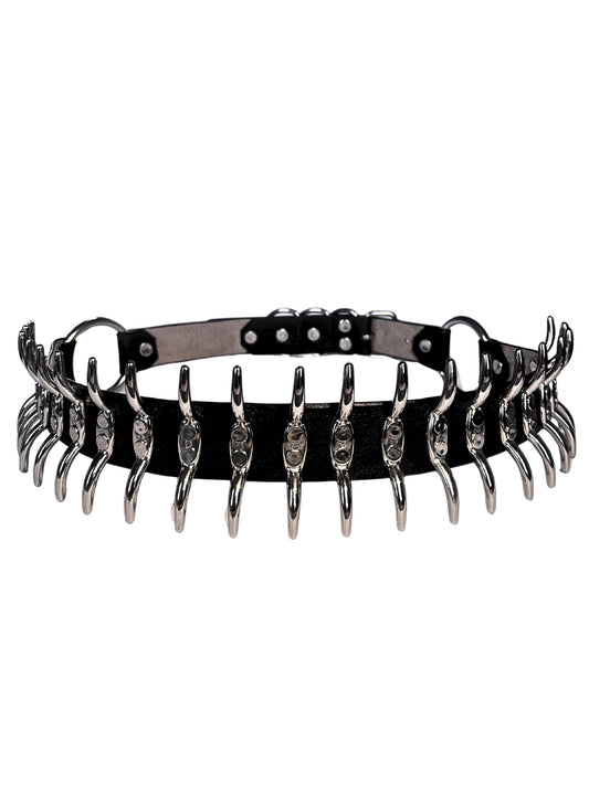 The Spine - BELT