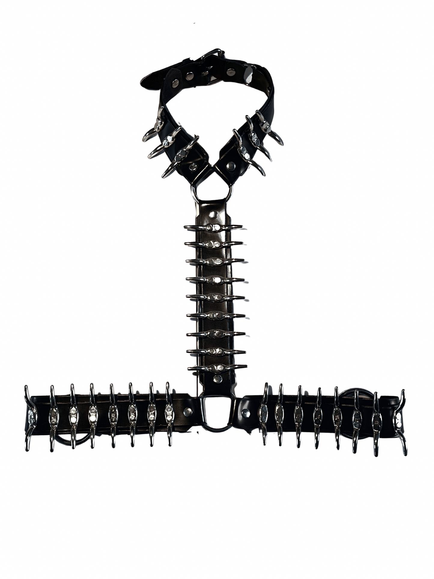 The Snakes and Ladders - HALTER